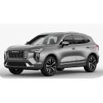 Haval Jolion '20-