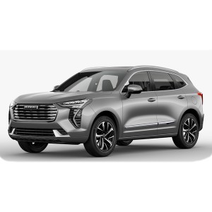 Haval Jolion '20-