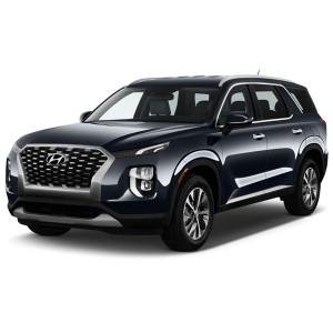 Hyundai Palisade '18-