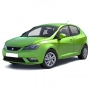 Seat Ibiza '07-17