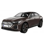 Захист двигуна Audi Q8 e-tron '22-