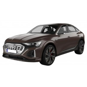 Audi Q8 e-tron '22-